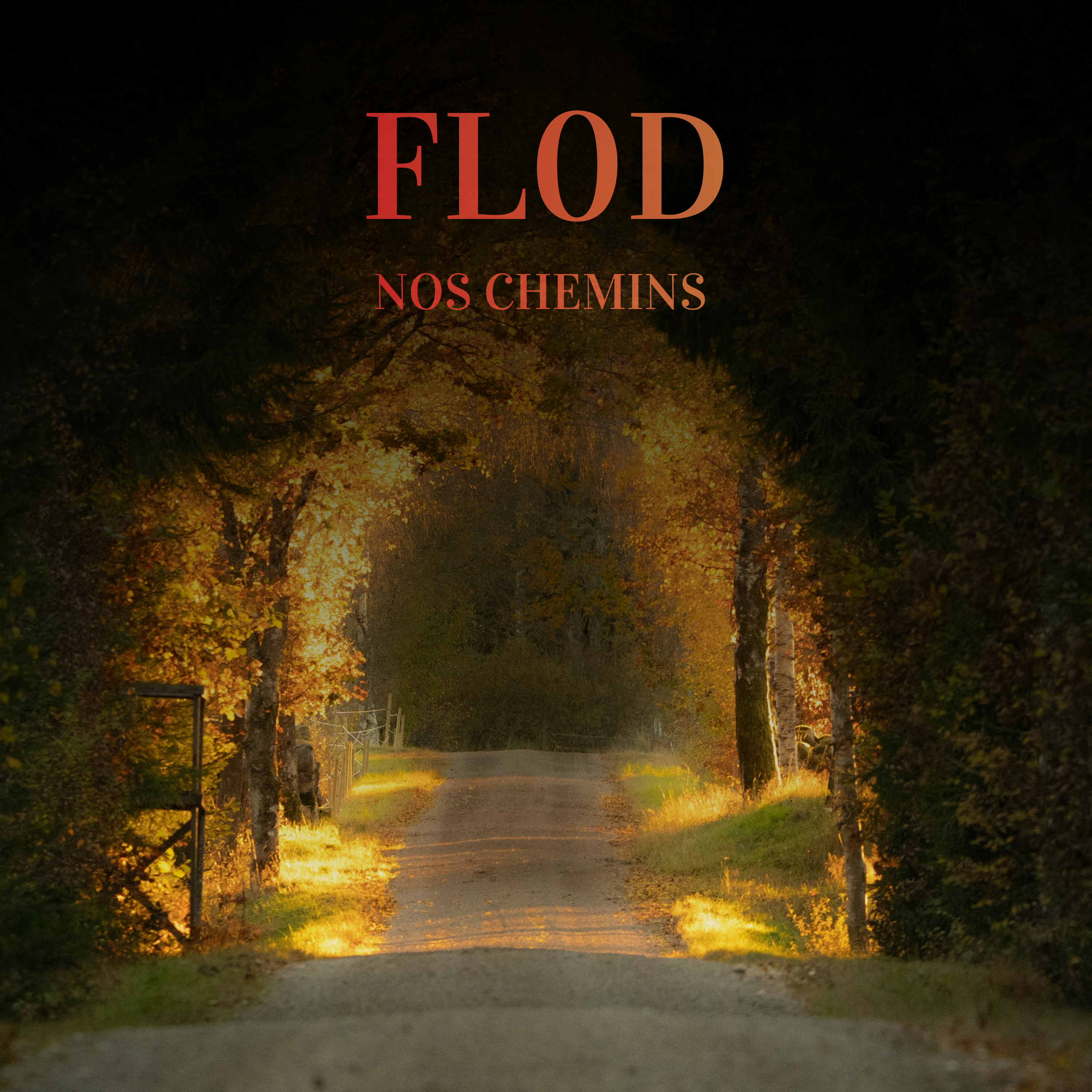 Nos Chemins - Single FLOD